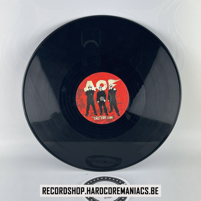 [vinyl] Art Of Fighters - Do Or Die (missing cover)